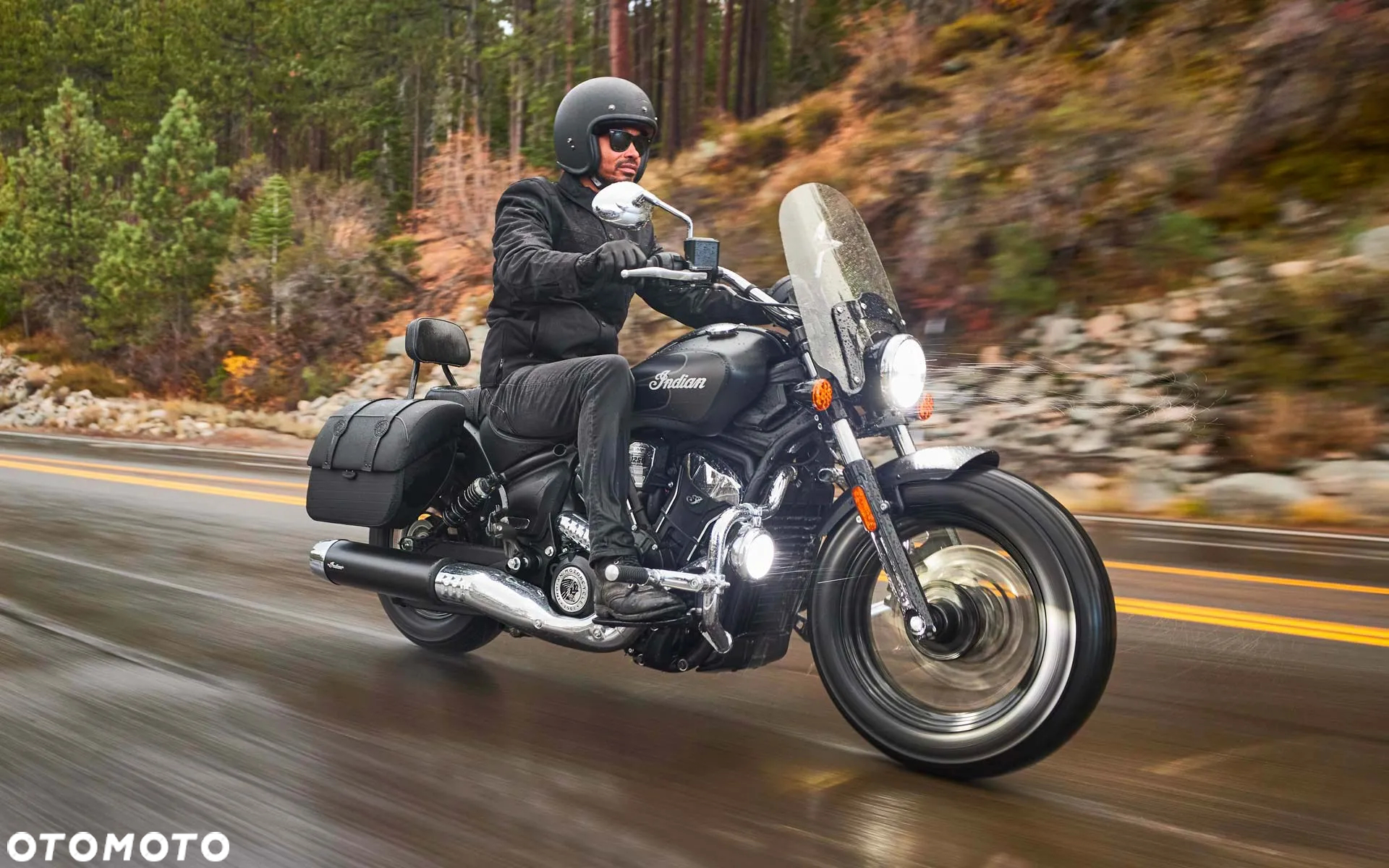 Indian Scout - 5