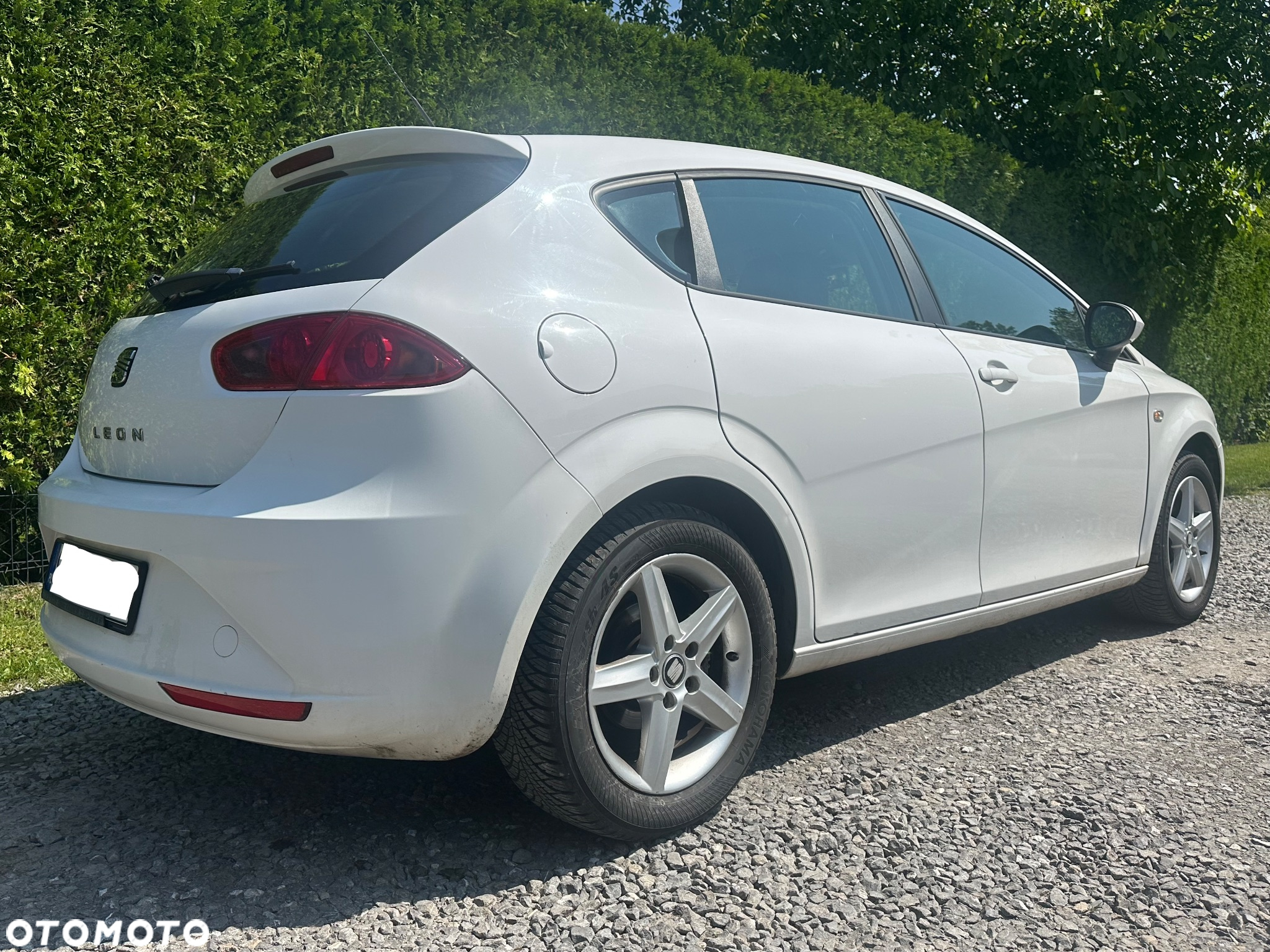 Seat Leon 1.6 TDI DPF Reference - 2
