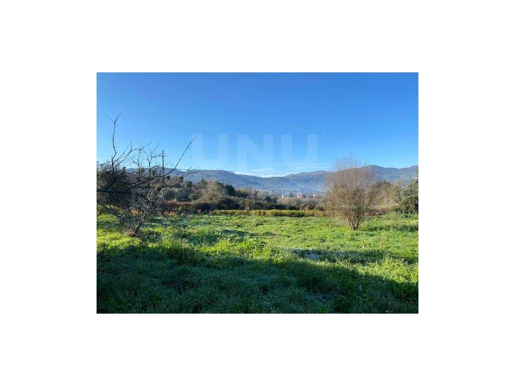 Terreno para Cultivo - Grande imagem: 3/6