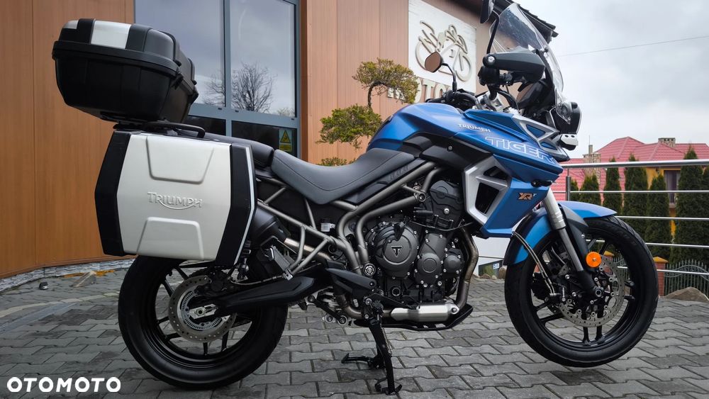 Triumph Tiger - 11