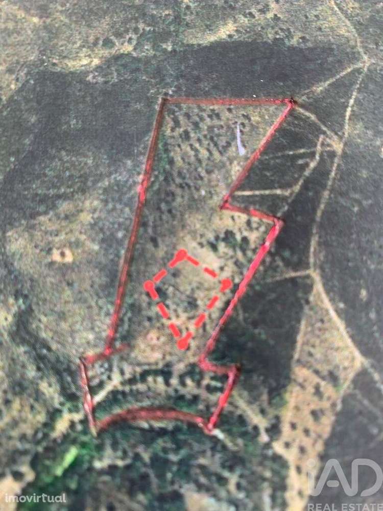 Terreno em São Brás de Alportel - Grande imagem: 2/16