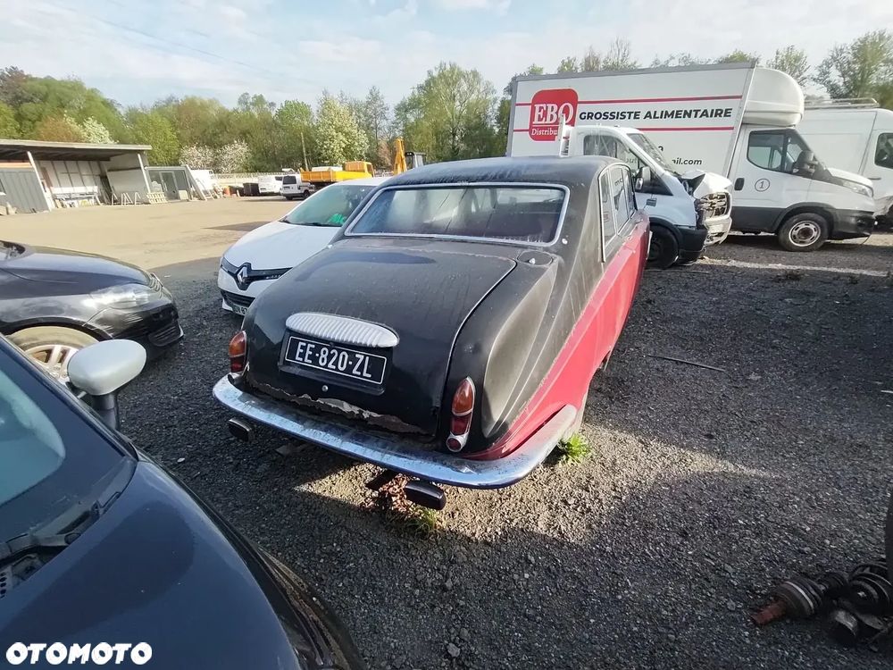 Jaguar Inny - 2