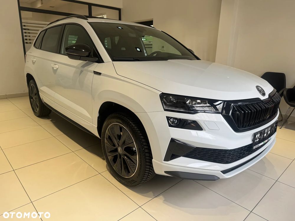 Skoda Karoq - 2
