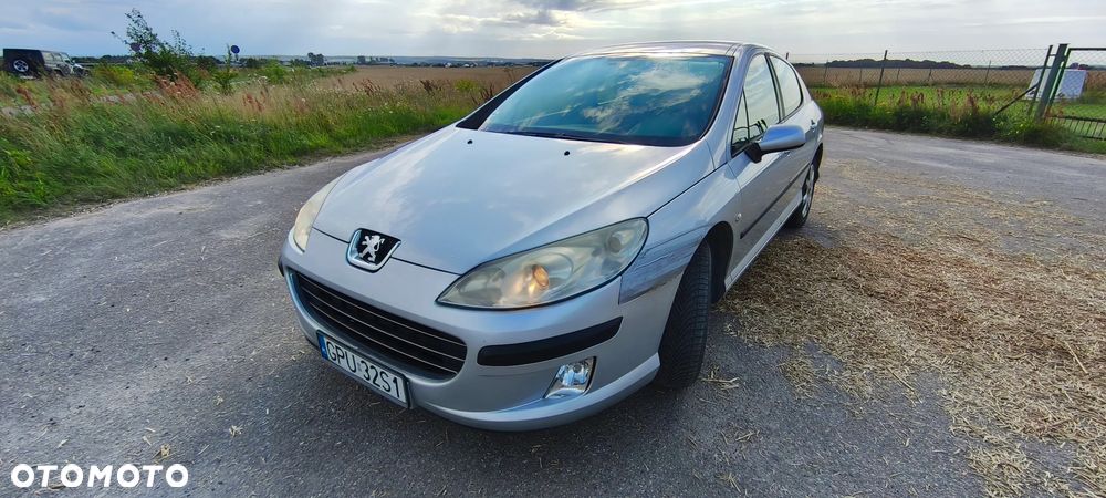 Peugeot 407 - 15