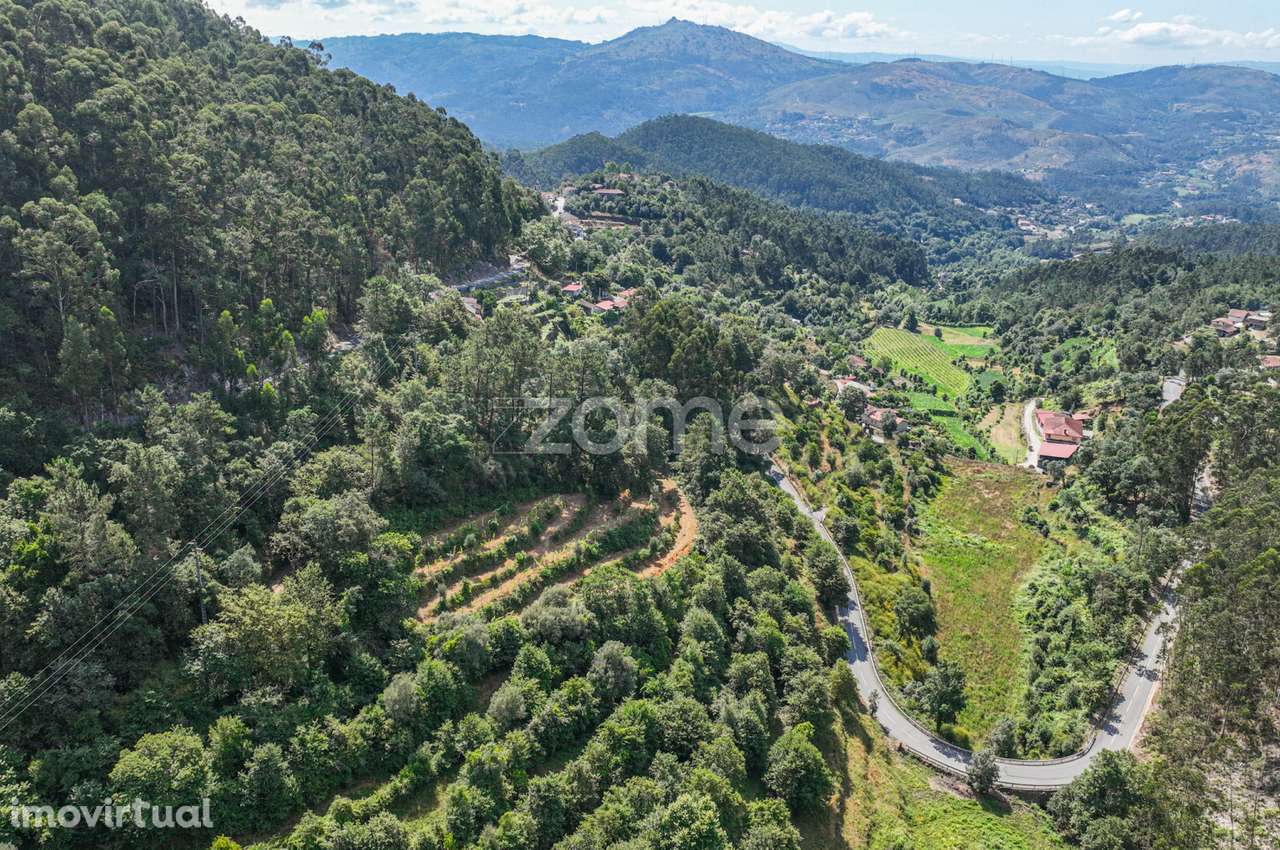Terreno Rústico com Nascente em Seramil - Grande imagem: 5/16