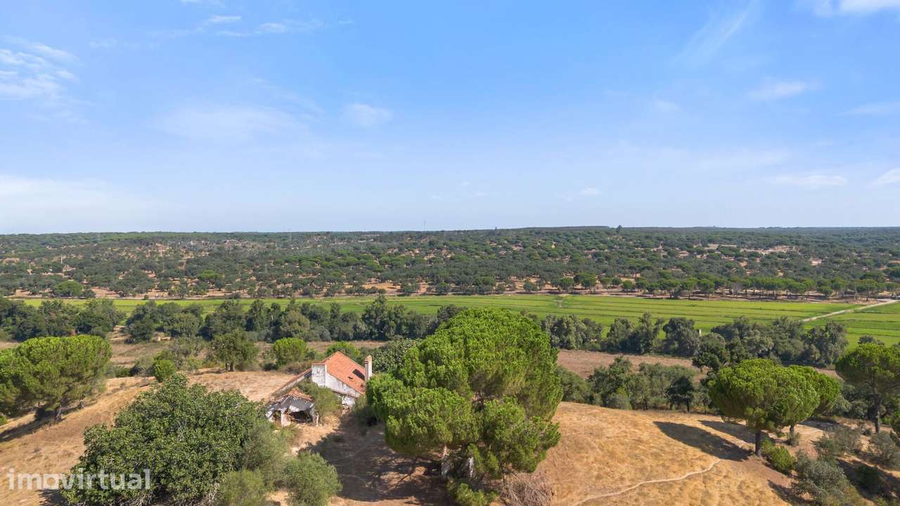 Herdade 176.6 ha, Montemor-o-Novo - Grande imagem: 5/25