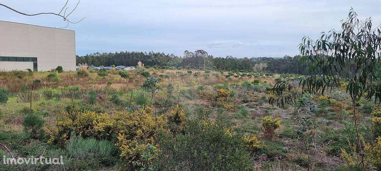 Terreno  para venda - Grande imagem: 2/6