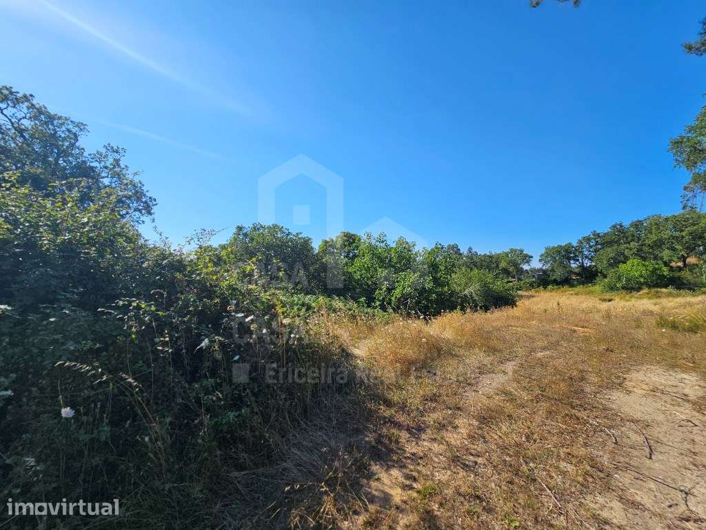 Vende Terreno - Ericeira 30 km, A Casa das Casas - Grande imagem: 4/15