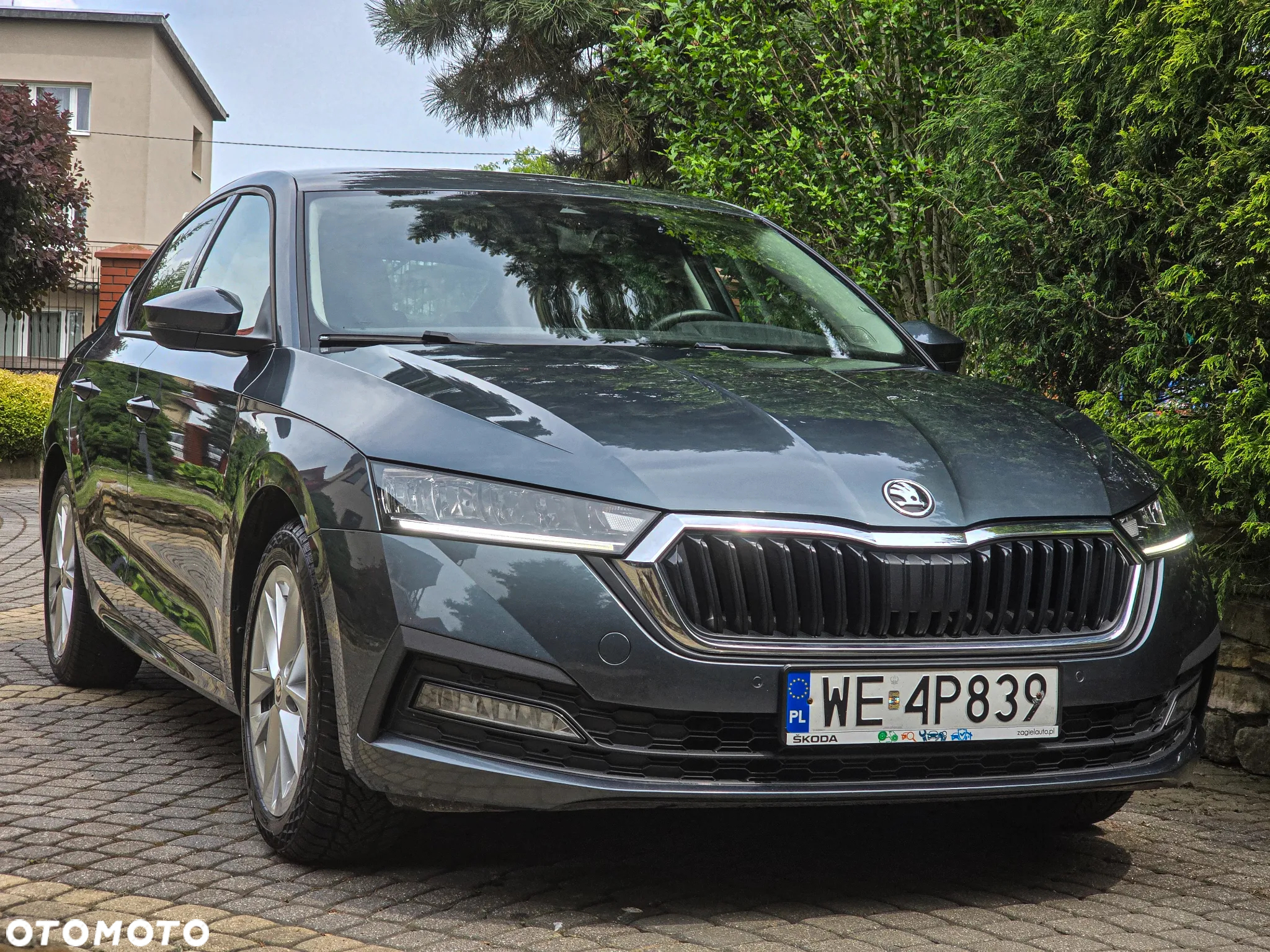 Skoda Octavia 1.5 TSI GPF ACT Ambition DSG - 9