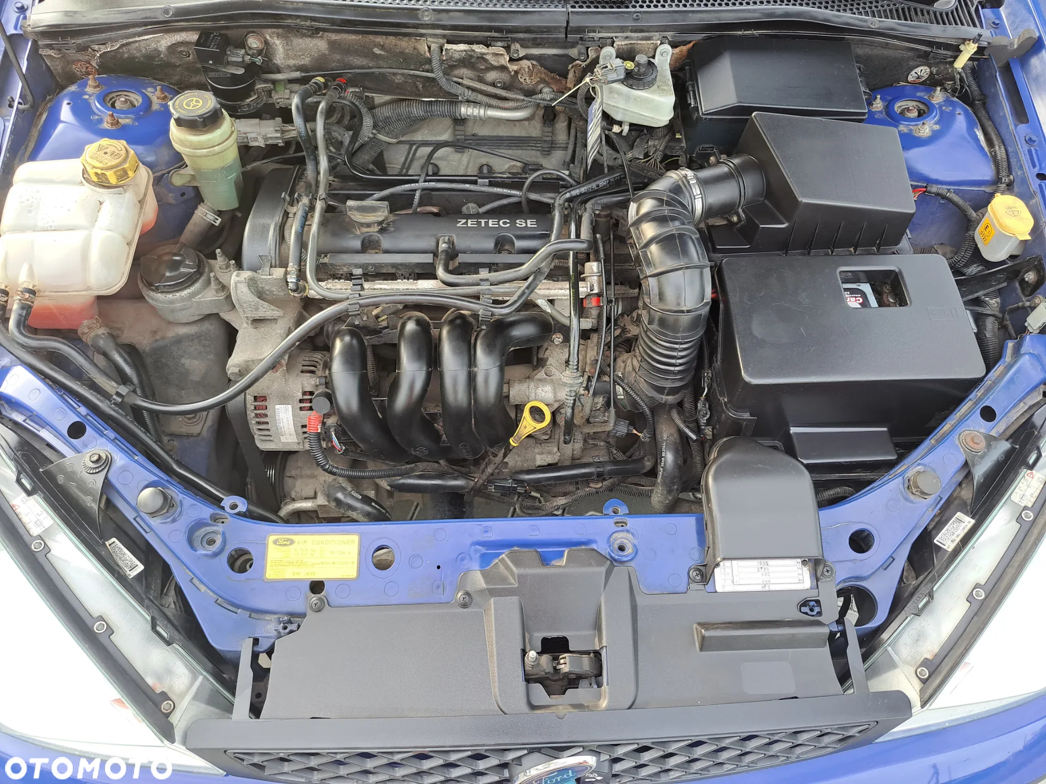 Ford Focus - 13