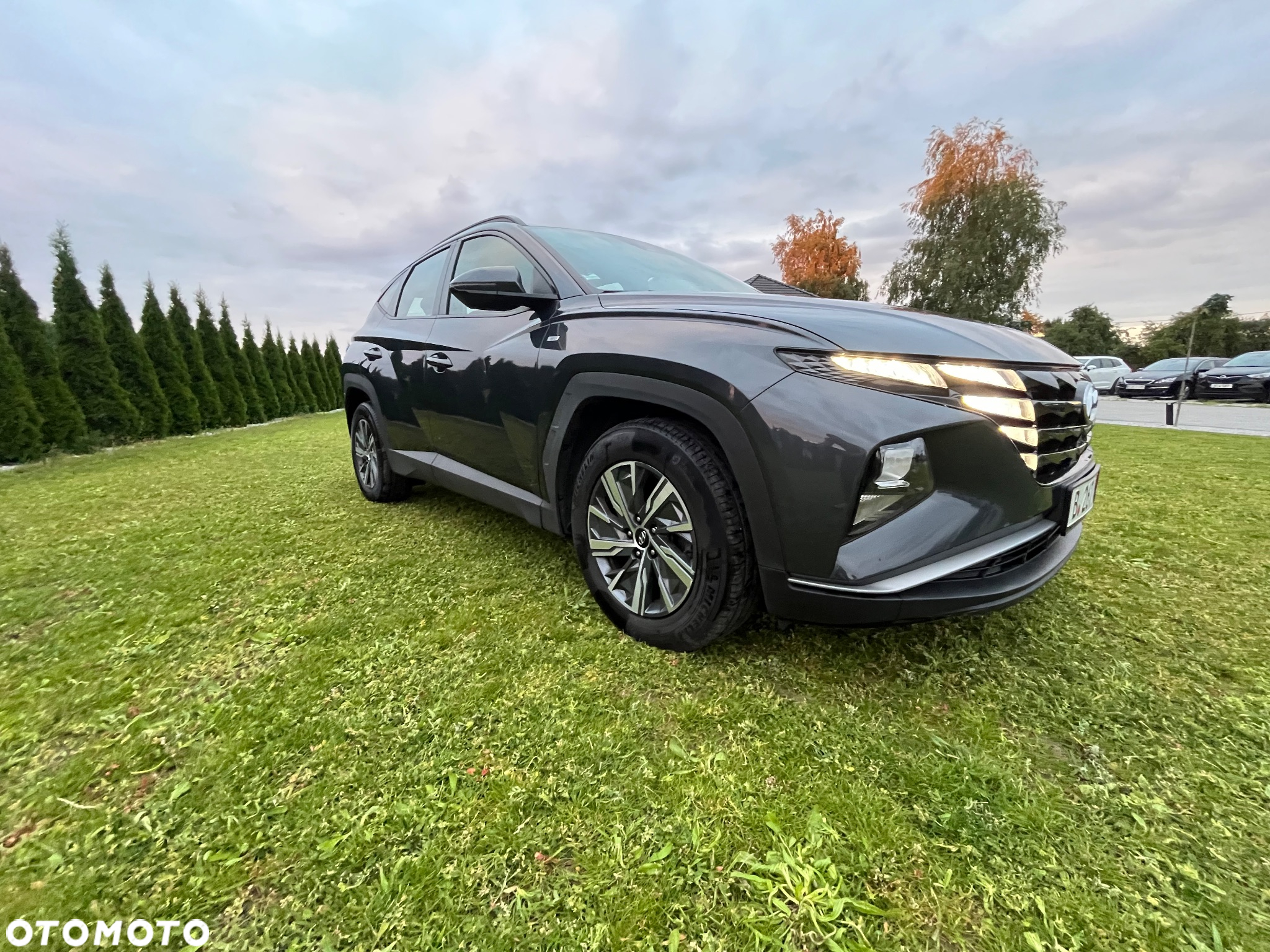 Hyundai Tucson 1.6 CRDi 48V-Hybrid 2WD DCT Select - 11
