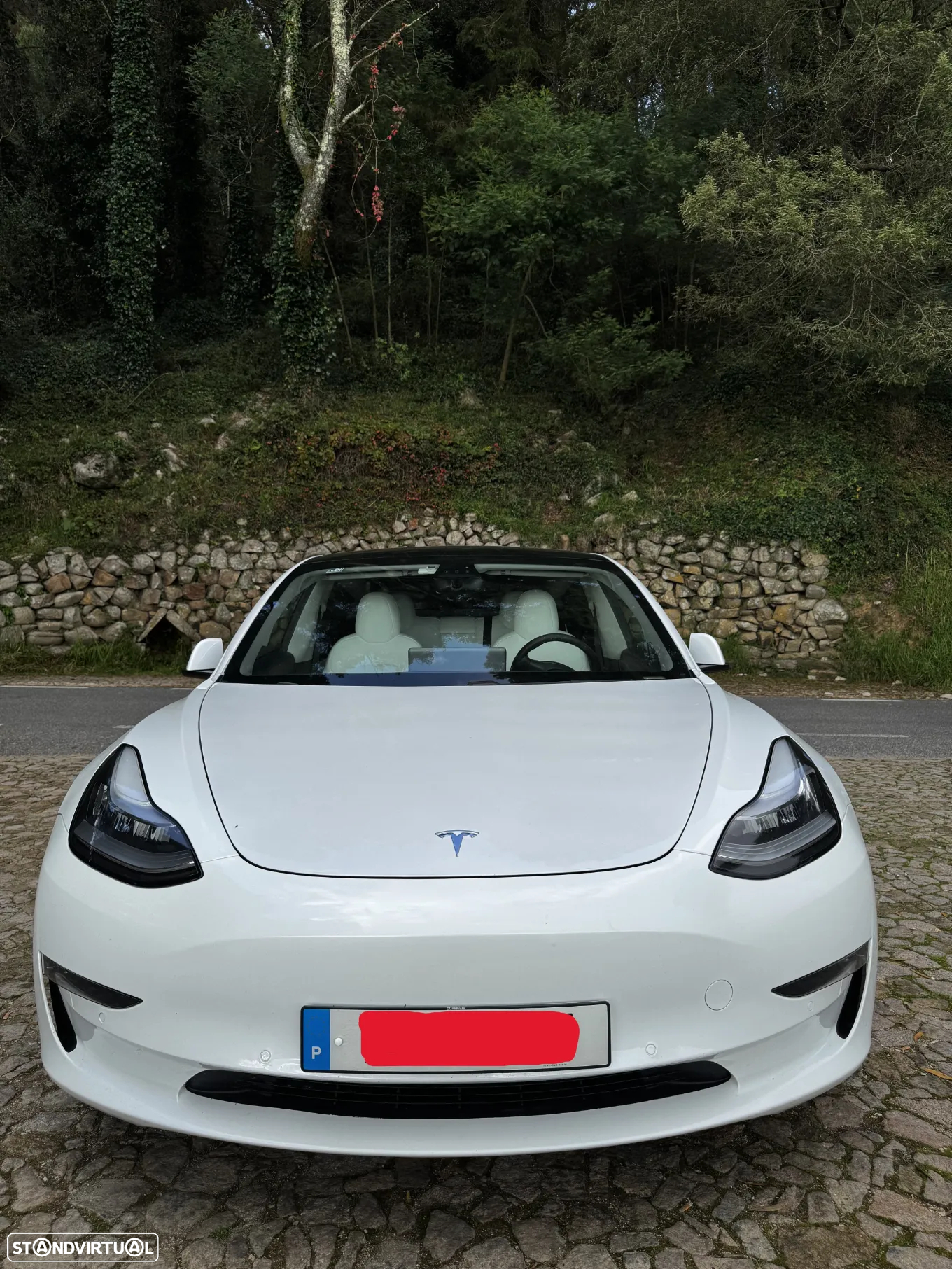 Tesla Model 3 Performance Dual Motor AWD - 3