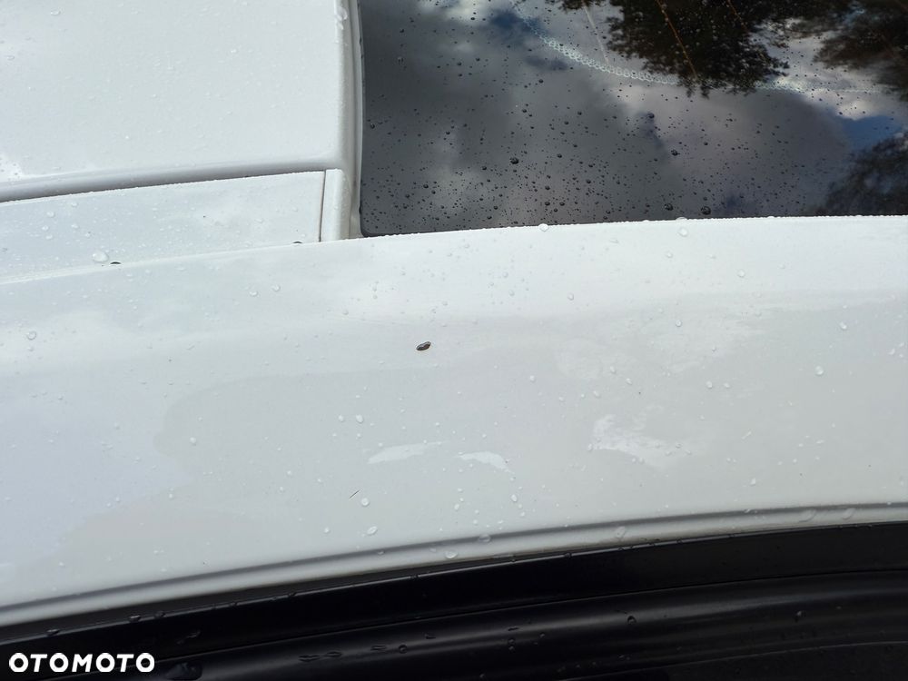 BMW Seria 3 318i Advantage - 21