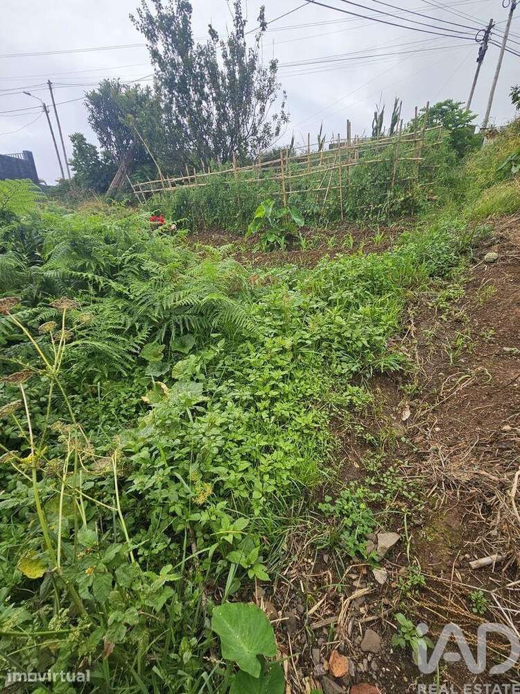 Terreno em Porto da Cruz de 990,00 m2 - Grande imagem: 4/9