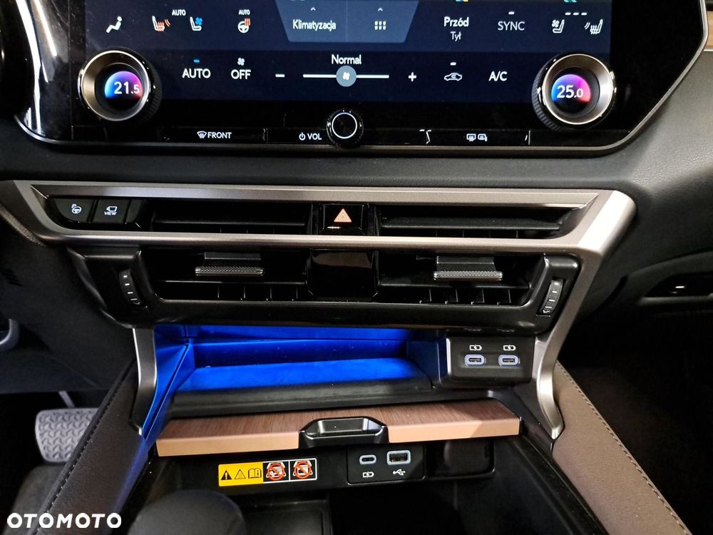 Lexus RX 450h+ Omotenashi - 26