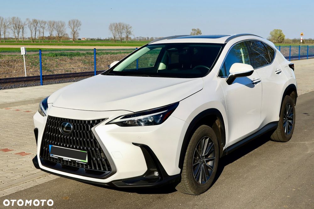 Lexus NX - 15
