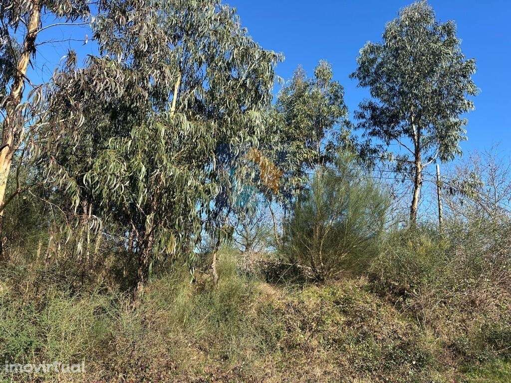 Venda Terreno - Grande imagem: 4/13