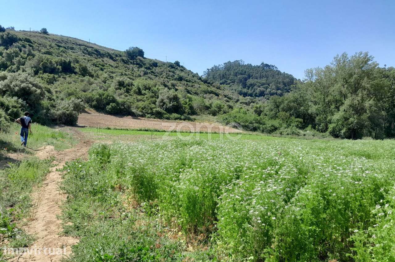Venda de dois terrenos rústicos – 5.960 m² | Montelavar, Sintra - Grande imagem: 5/18