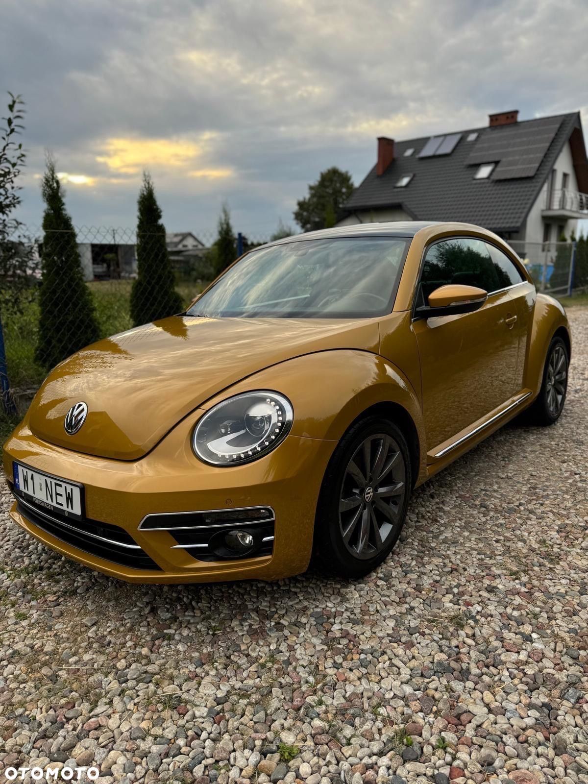 Volkswagen Beetle - 1