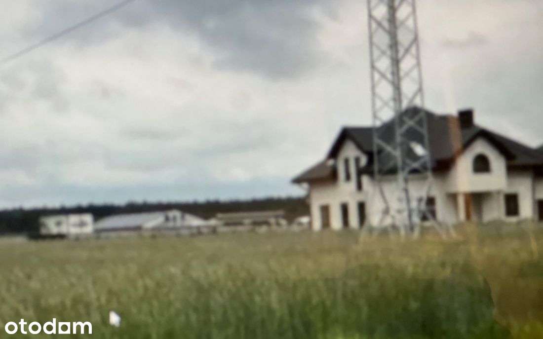 Działka, 12 000 m², Zalesiaki-Pieńki - Pełny obrazek: 3/4
