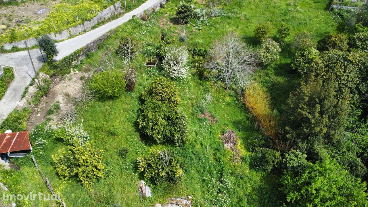 Terreno, 1 150 m², Pessegueiro do Vouga - Grande imagem: 3/13