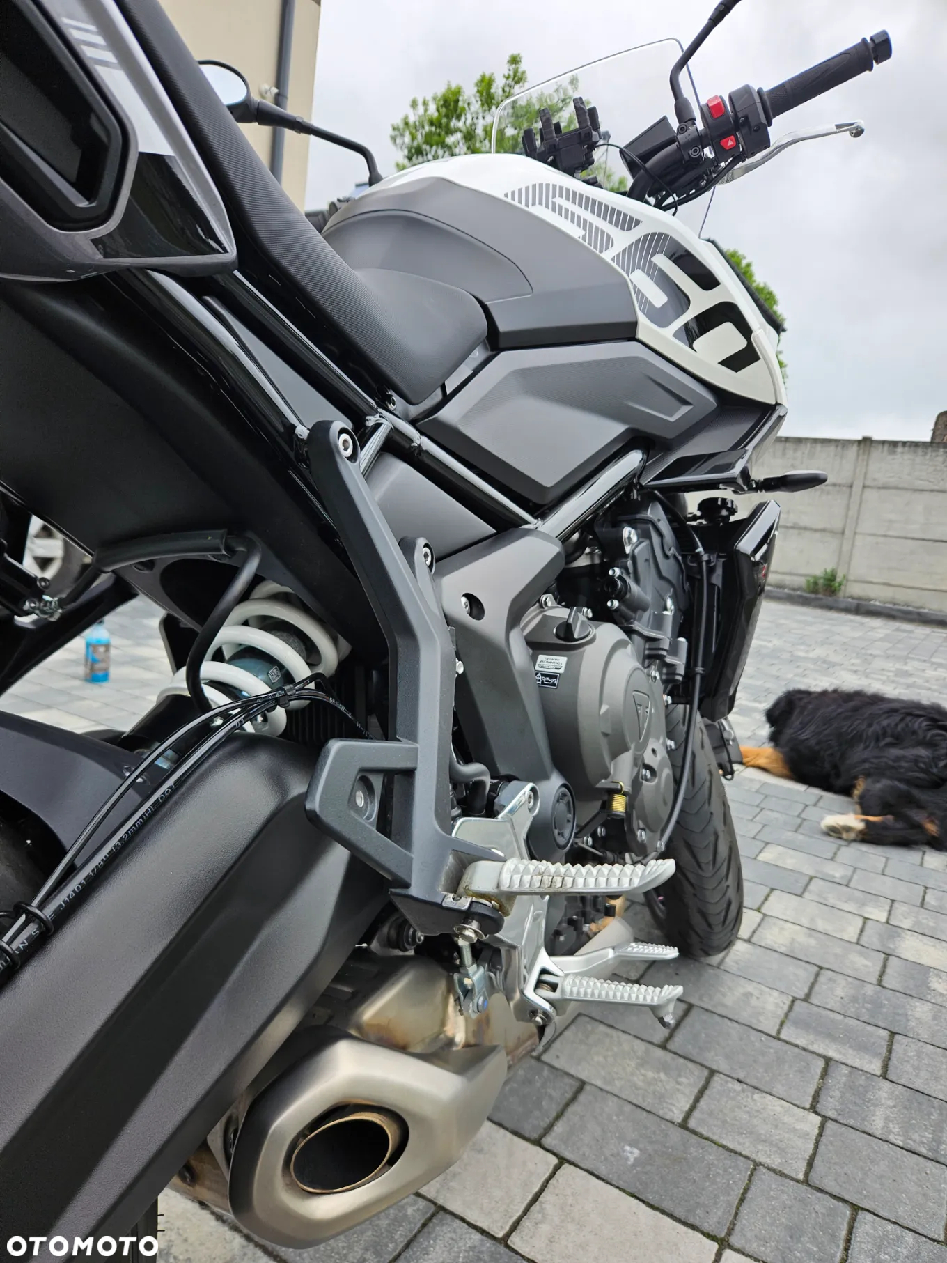 Triumph Tiger - 5