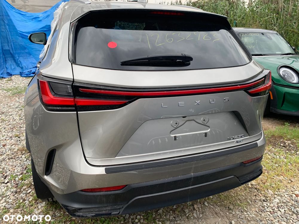 Lexus NX - 6