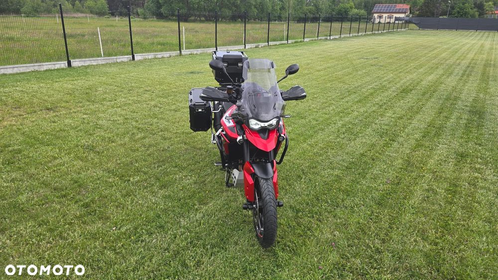 Triumph Tiger - 9