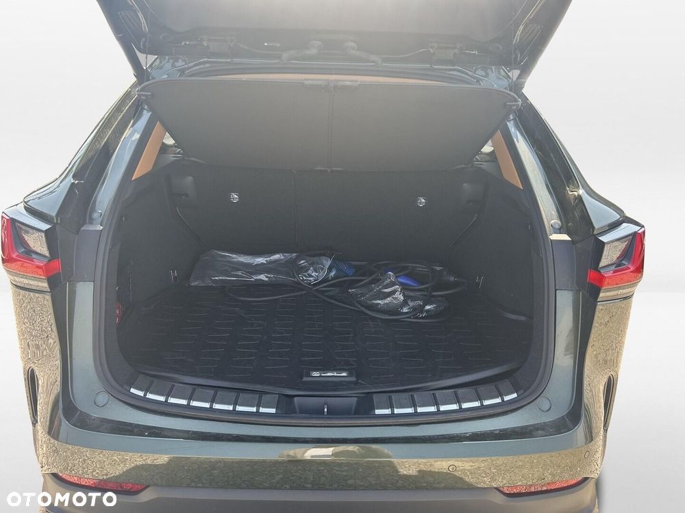 Lexus NX - 14