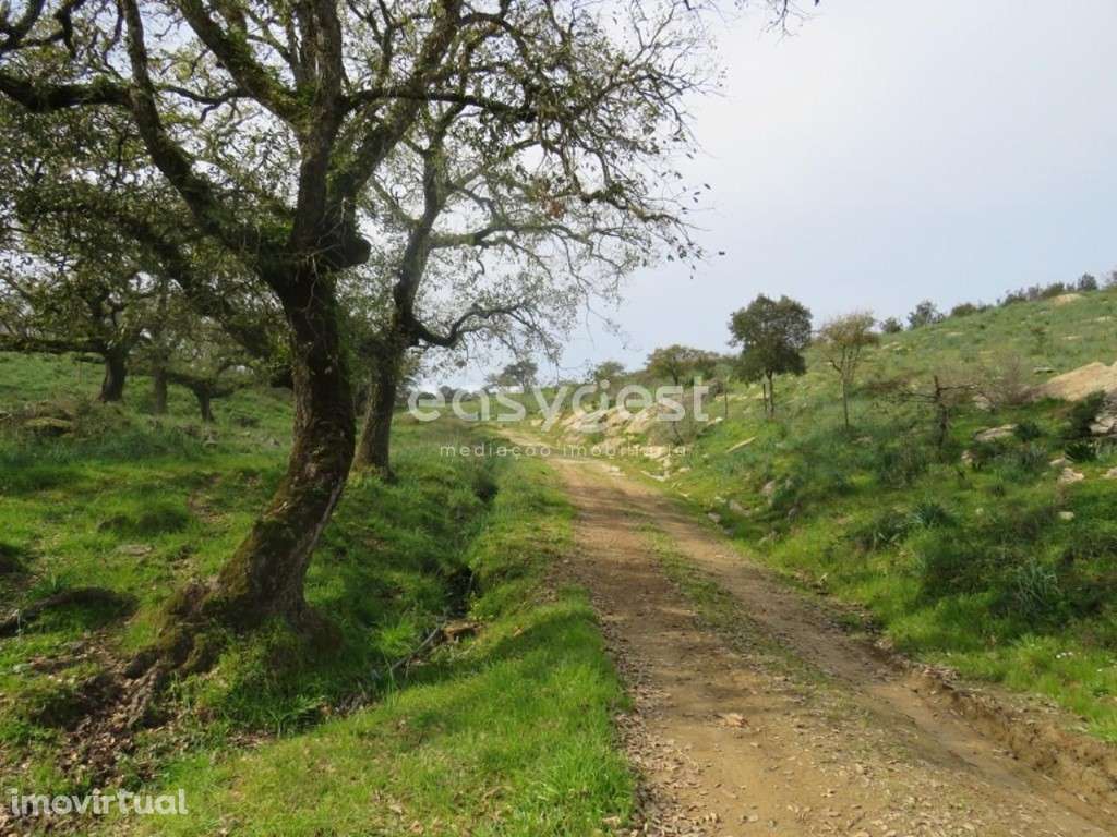 Herdade com 1.447.916 m2 localizada em São Luís, concelho de Odemira - Grande imagem: 3/48