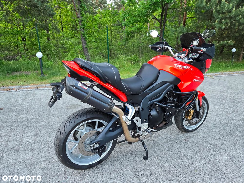 Triumph Tiger - 6