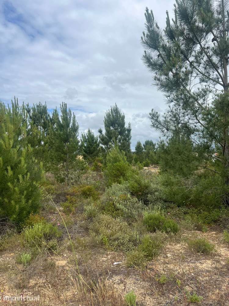 Terreno Urbano | Quinta do Conde – Ribeira do Marchante - Grande imagem: 4/11