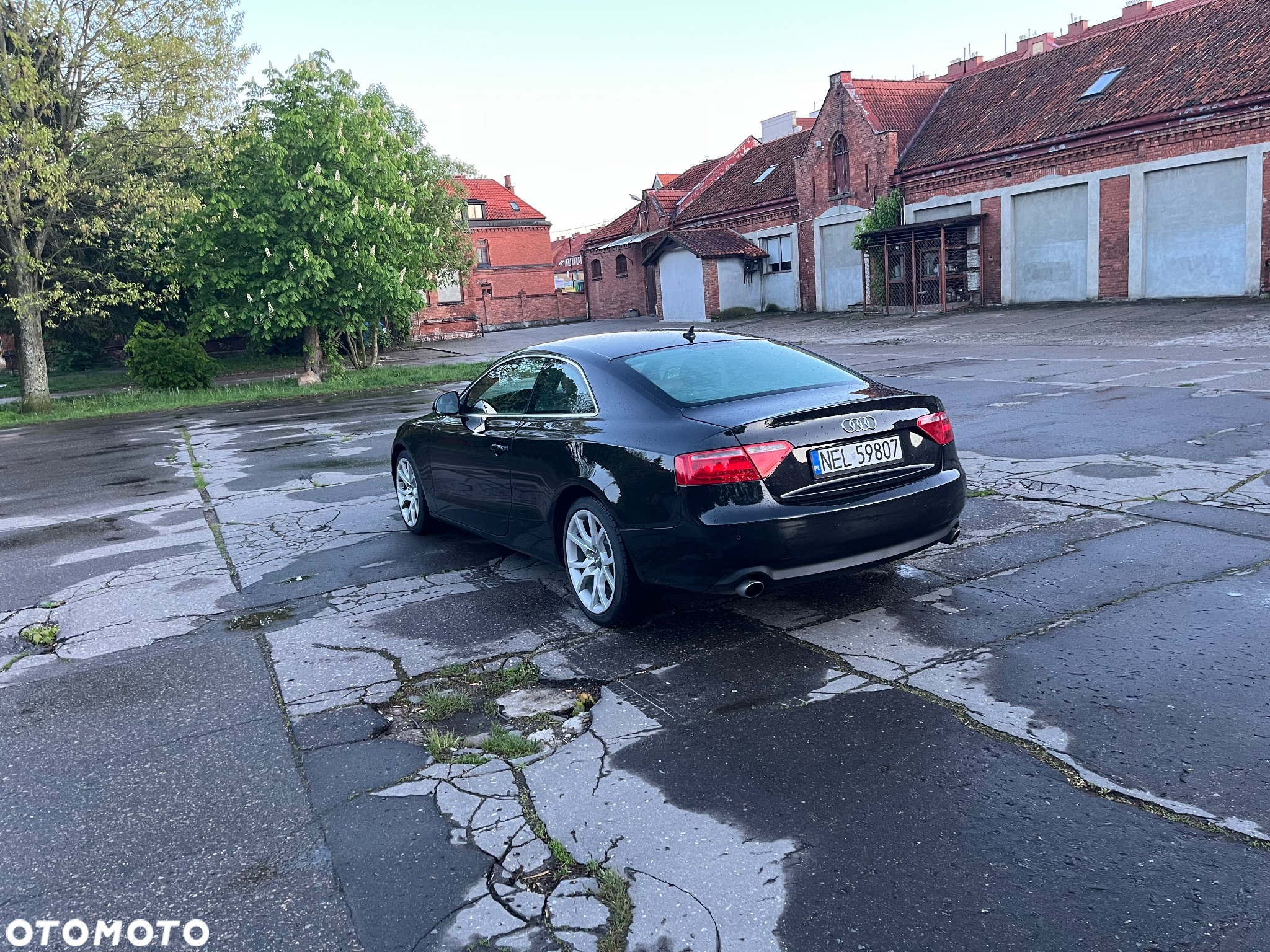 Audi A5 2.7 TDI Multitronic - 4