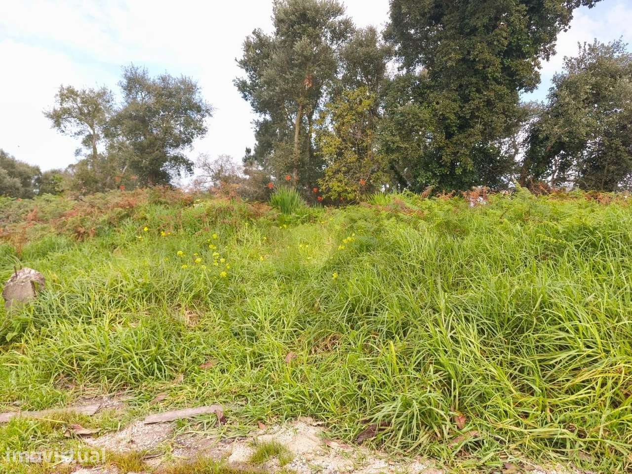 Lote de 2.398m2   Mafra - Grande imagem: 5/13