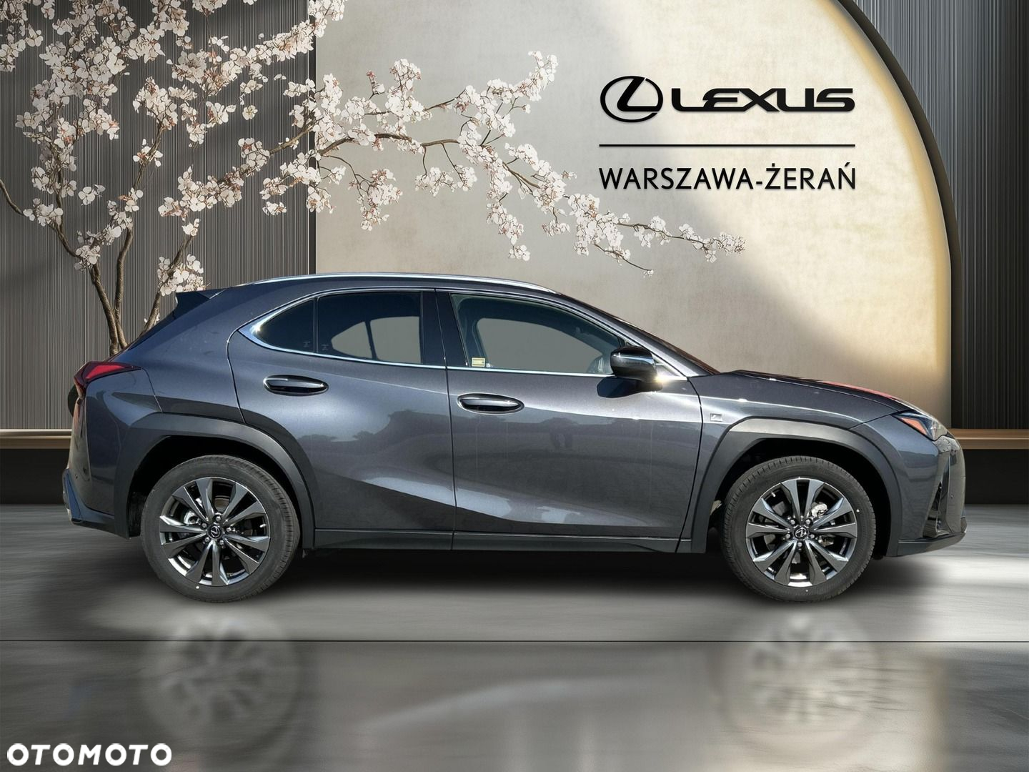 Lexus UX 250h GPF F Sport Design 2WD - 8