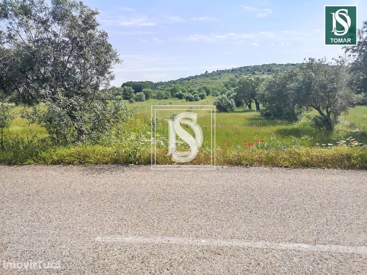 Terreno  em Chãos - Grande imagem: 3/9
