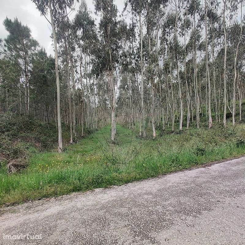 Terreno  para venda - Grande imagem: 3/10