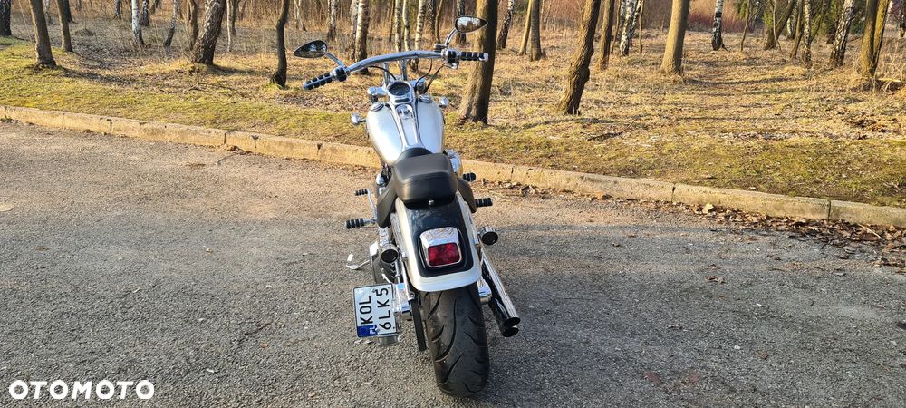 Harley-Davidson Softail - 11
