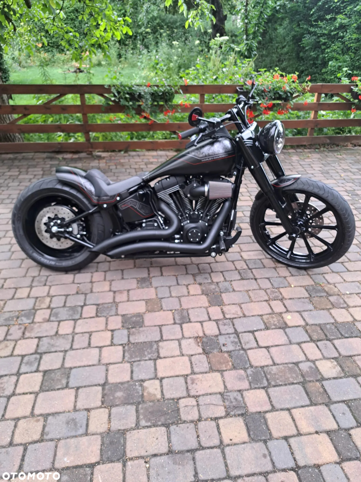 Harley-Davidson Softail Custom - 22