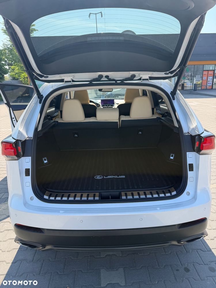 Lexus NX 300 Business Edition AWD - 20