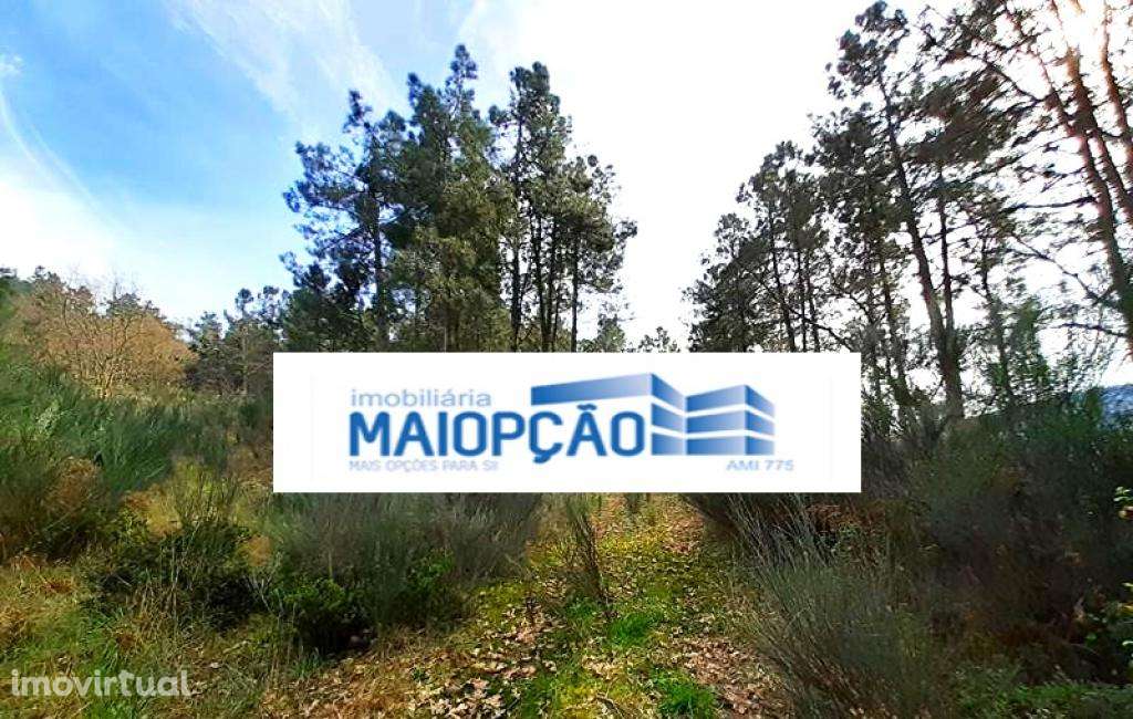 Terreno T5+ - Grande imagem: 2/5