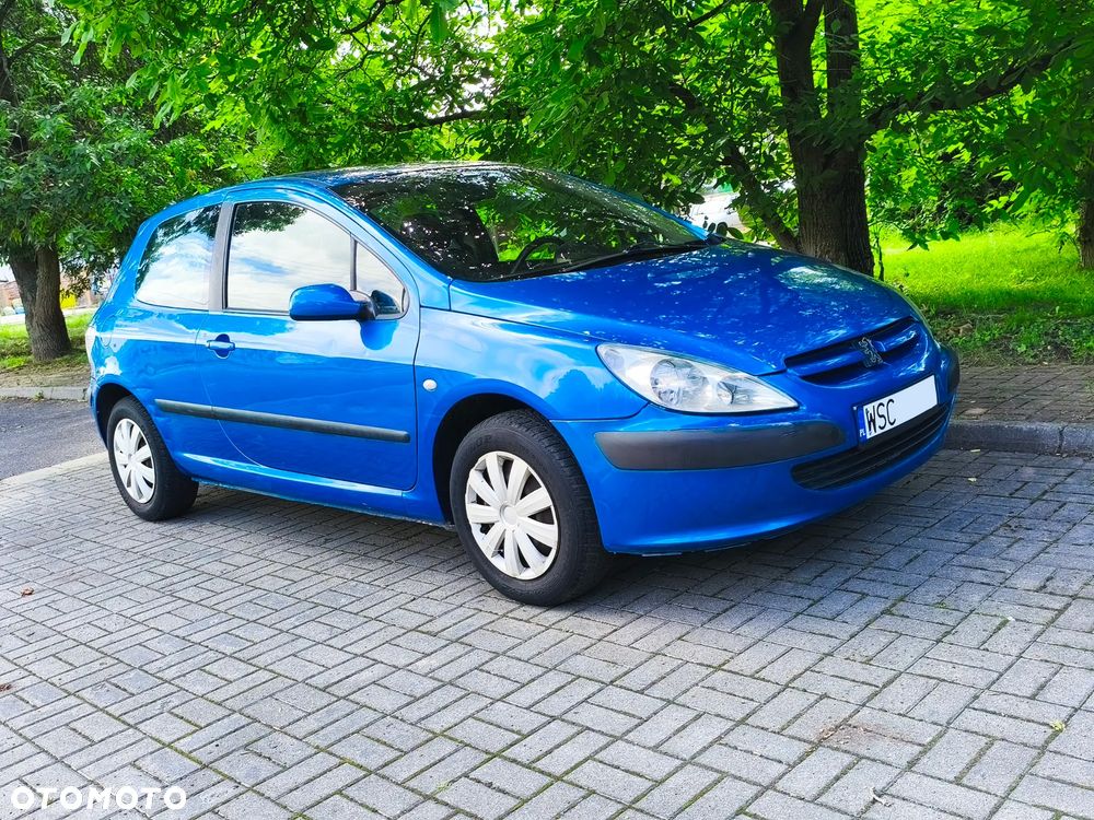 Peugeot 307 1.6 XS - 22
