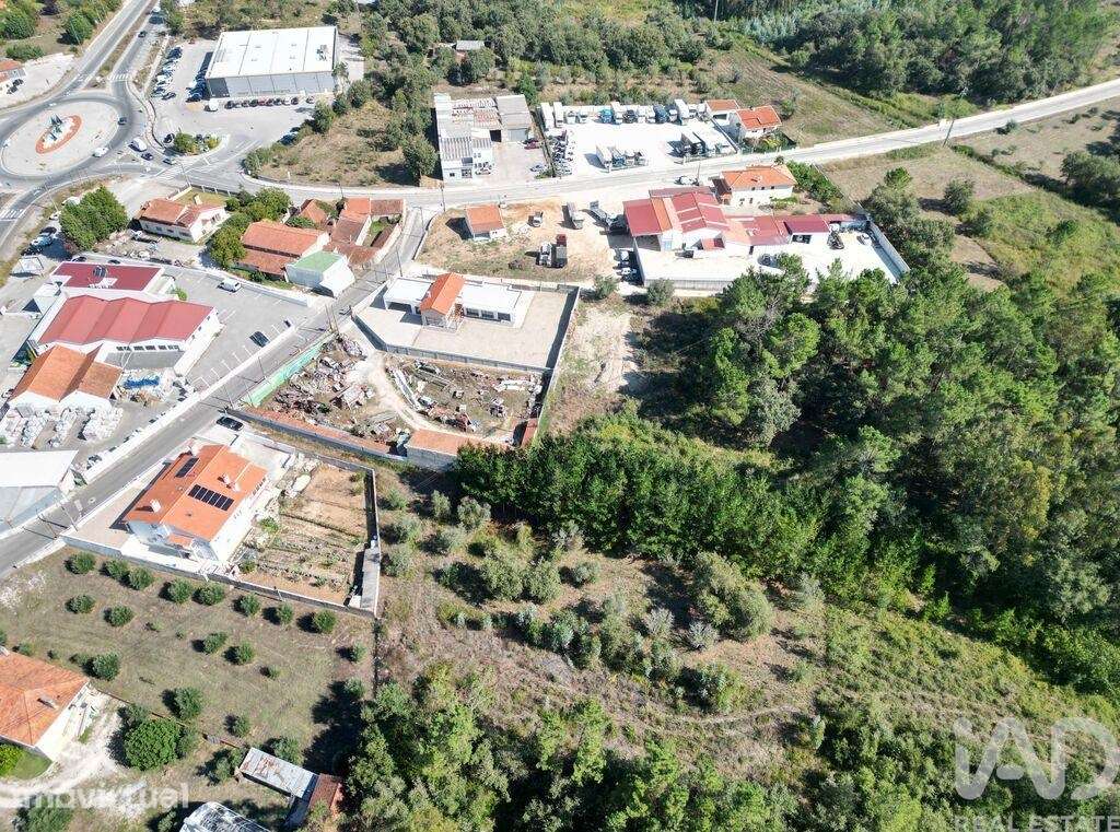 Terreno em Pedreiras - Grande imagem: 3/13