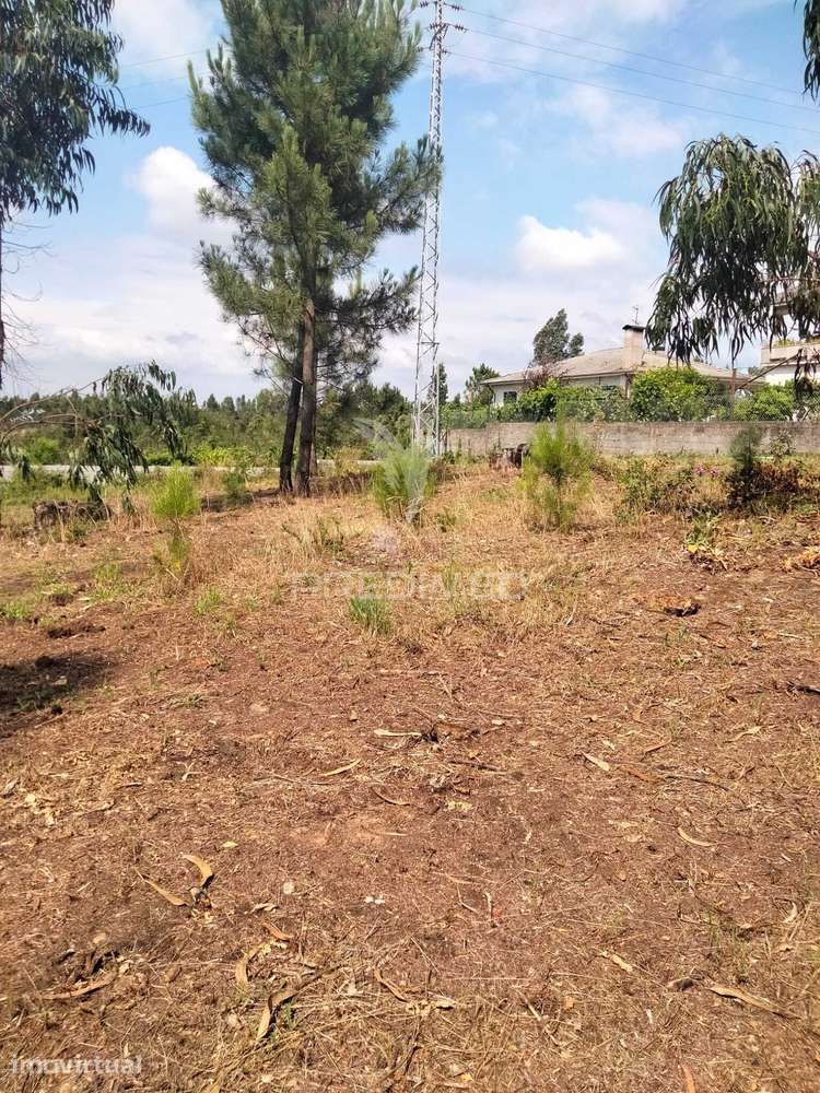 Terreno para Construção em Canedo – Santa Maria da Feira - Grande imagem: 2/3
