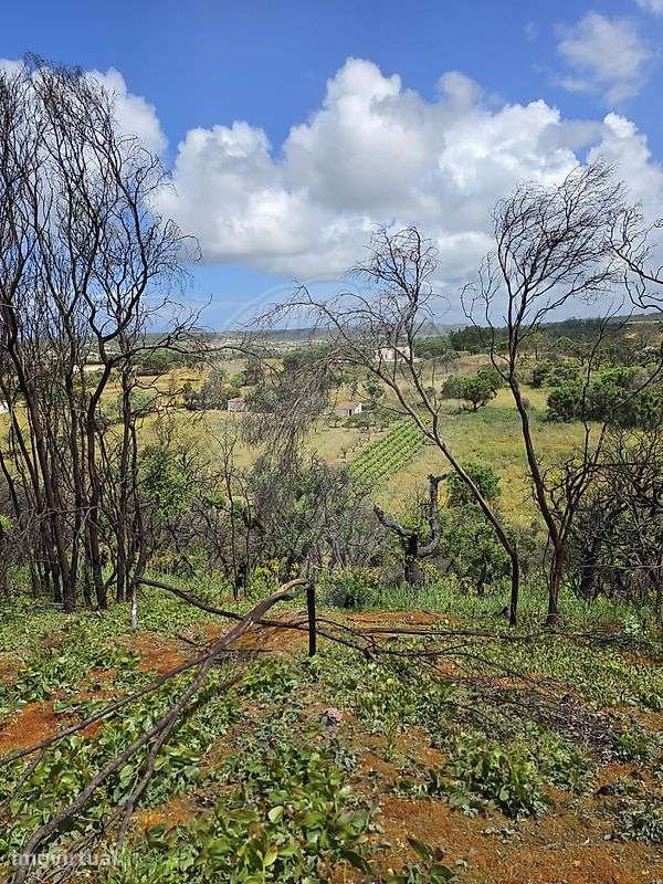 Terreno  para venda - Grande imagem: 2/3