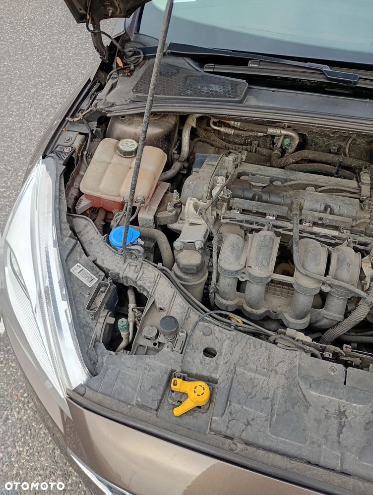 Ford Focus - 8