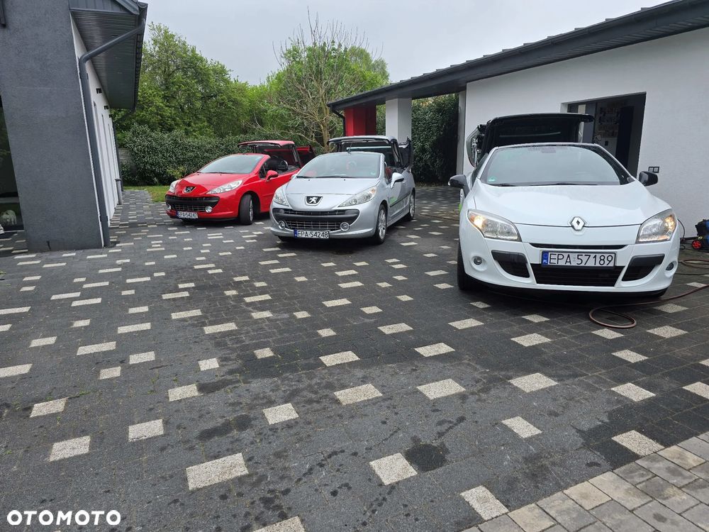 Renault Megane - 19