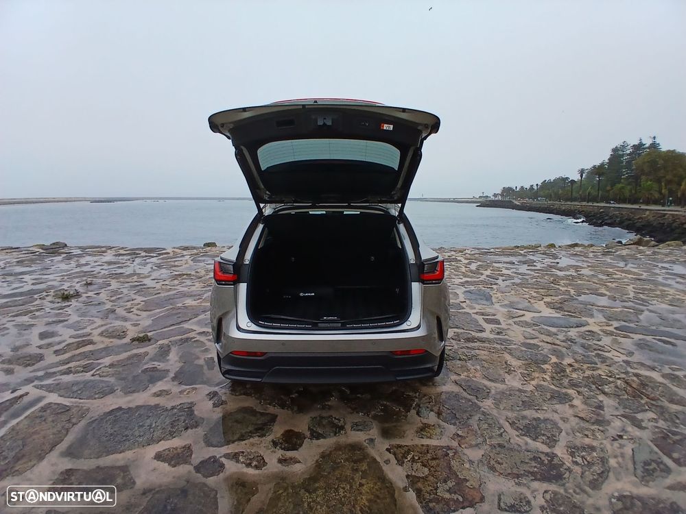 Lexus NX 450h+ - 21