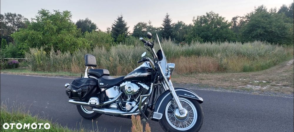 Harley-Davidson Softail - 39