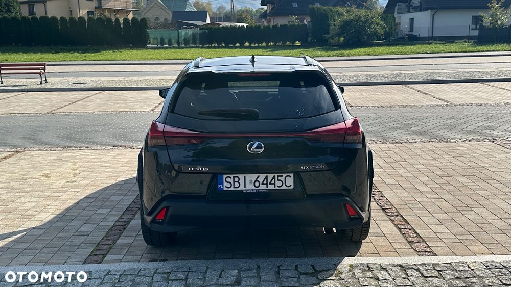 Lexus UX 250h GPF Prestige AWD - 12